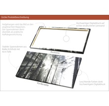 Giclée Leinwandbild Sundrenched Forest IV 90x180 cm