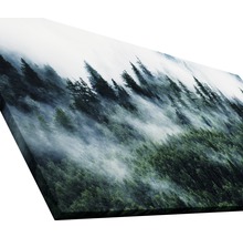 Tableau sur toile giclée Mystic forest VI 50x100 cm