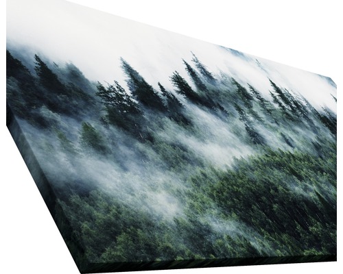 Tableau sur toile avec forêt et brouillard