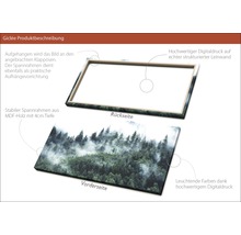 Giclée Leinwandbild Mystic Forest VI 50x100 cm