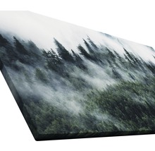 Tableau sur toile giclée Mystic forest VI 60x120 cm