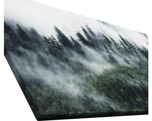 Impression sur toile avec motif de forêt dans le brouillard