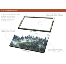 Giclée Leinwandbild Mystic Forest VI 60x120 cm