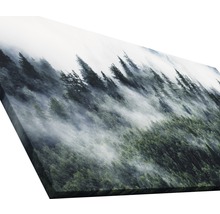 Tableau sur toile giclée Mystic forest VI 100x200 cm