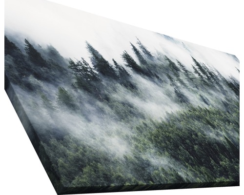 Tableau sur toile avec motif de forêt et brouillard