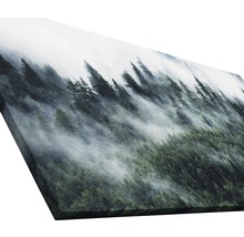 Tableau sur toile giclée Mystic forest VI 80x160 cm