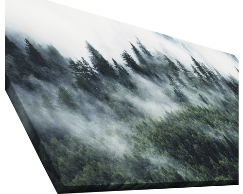 Image sur toile avec forêt dans le brouillard