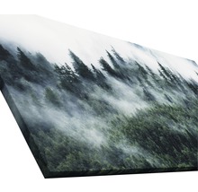 Tableau sur toile giclée Mystic forest VI 90x180 cm