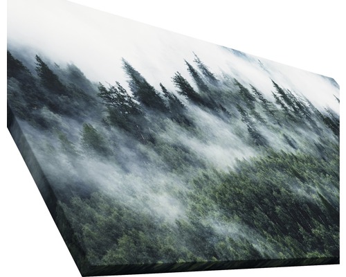 Image sur toile avec forêt et brouillard
