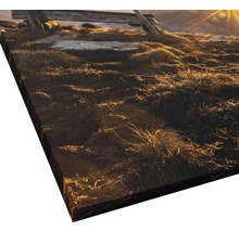 Leinwandbild mit Landschaftsmotiv und Holzzaun