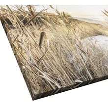 Giclée Leinwandbild Wilder Strand III 100x100 cm