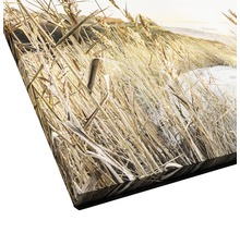Giclée Leinwandbild Wilder Strand III 80x80 cm