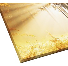 Gros plan d''un motif de forêt sur toile avec la lumière du soleil.