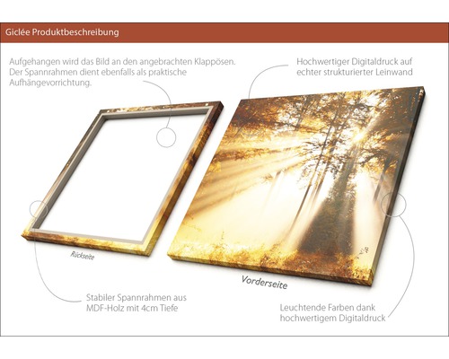 Giclée Kunstdruck auf Leinwand mit Waldmotiv und MDF-Rahmen