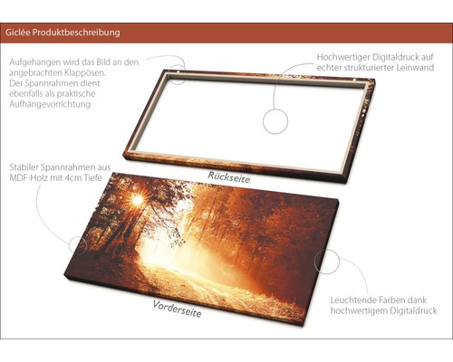 Produktbeschreibung für Giclée-Druck auf Leinwand mit Waldmotiv, Vorder- und Rückseite