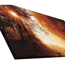 Tableau sur toile paysage forestier avec soleil