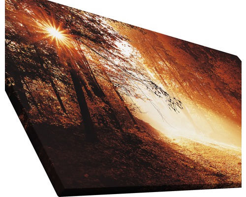 Tableau sur toile paysage forestier avec soleil