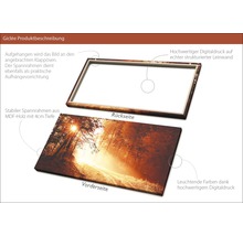 Giclée Leinwandbild Autumn Forest ll 60x120 cm