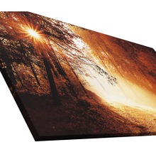 Tableau sur toile giclée Autumn Forest ll 100x200 cm