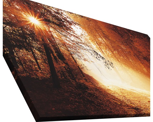 Tableau sur toile chemin forestier avec soleil