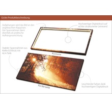 Giclée Leinwandbild Autumn Forest ll 100x200 cm