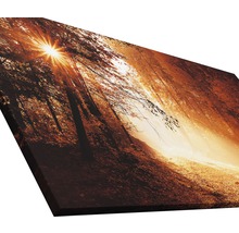 Tableau sur toile giclée Autumn Forest ll 80x160 cm