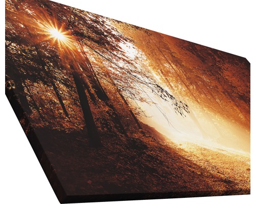 Image sur toile avec motif de forêt et soleil