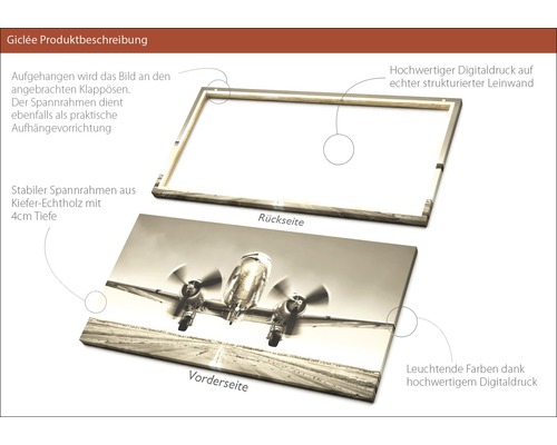 Leinwandbild mit Flugzeugmotiv und Holzrahmen