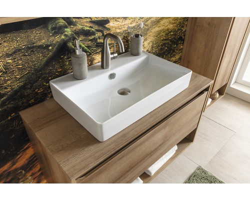 Salle de bains avec lavabo, robinet, distributeur de savon et meuble sous-lavabo