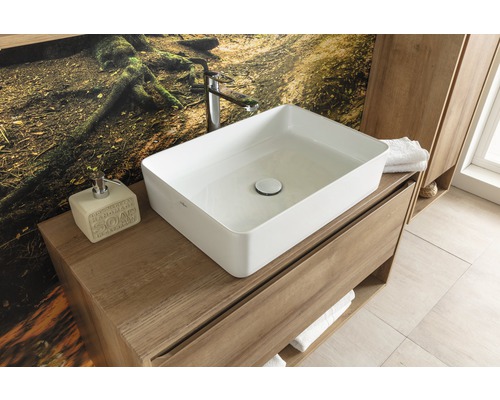 Salle de bains avec vasque à poser, robinet, distributeur de savon et meuble sous-vasque en bois