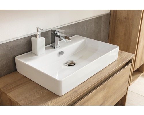 Vasque avec robinet et distributeur de savon sur un meuble sous-vasque