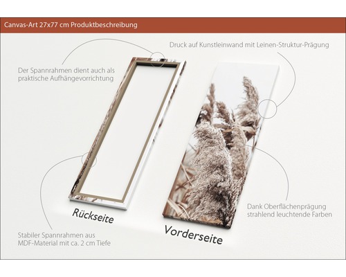 Leinwandbild 27x77 cm, Rückseite und Vorderseite mit Gräser Motiv