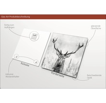 Glasbild Grey Deer Head II 20x20 cm