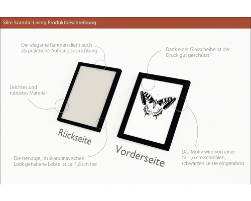 Abbildung zweier Bilderrahmen, einer zeigt die Rückseite und einer die Vorderseite mit Schmetterlingsmotiv