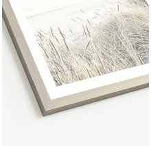 Gerahmtes Bild mit Gräsern