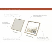 Bilderrahmen mit Glasabdeckung und Aufhängevorrichtung auf der Rückseite