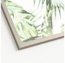 Gerahmtes Bild Jungle 28x28 cm