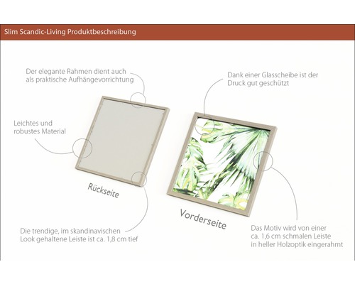 Bilderrahmen mit Pflanzenmotiv und Rückseite mit Aufhängevorrichtung