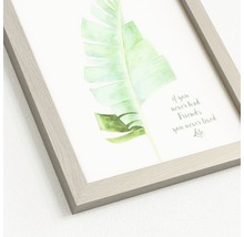 Gerahmtes Bild Green Plant Leaf II 19x24 cm