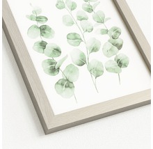 Gerahmtes Bild Eucalyptus Branches I 19x24 cm