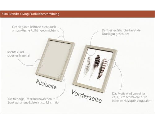 Produktbeschreibung Slim Scandic-Living: Vorder- und Rückseite eines Bilderrahmens mit Federmotiv.