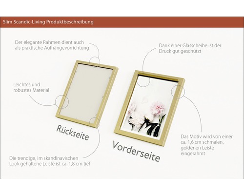 Zwei goldfarbene Bilderrahmen zeigen Vorder- und Rückseite des Produkts.