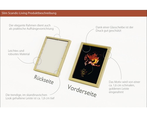 Bilderrahmen mit schmalem, goldenem Rahmen, Vorder- und Rückseite