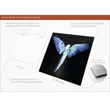 Aluminiumbild 98x98 Zentimeter mit Papageienmotiv und Aufhängung auf der Rückseite