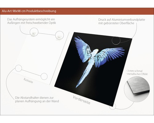 Aluminiumbild 98x98 Zentimeter mit Papageienmotiv und Aufhängung auf der Rückseite