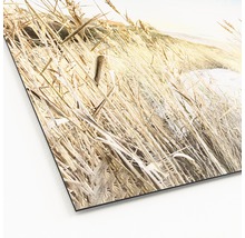 Metallbild Alu Wilder Strand III 98x98 cm