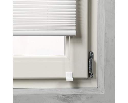 Plissee Rollo am Fenster