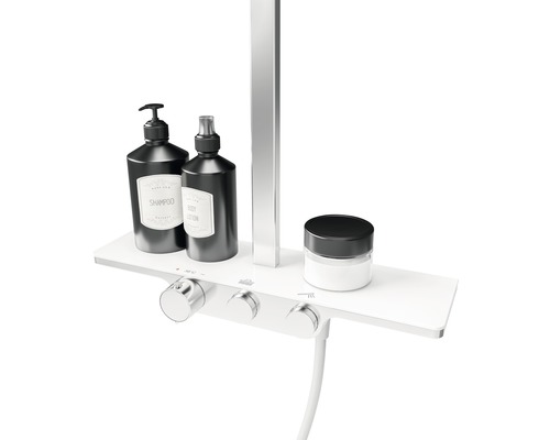 Aufputz Duschsystem mit Ablage, Brauseschlauch, Shampoo, Körperlotion und Creme