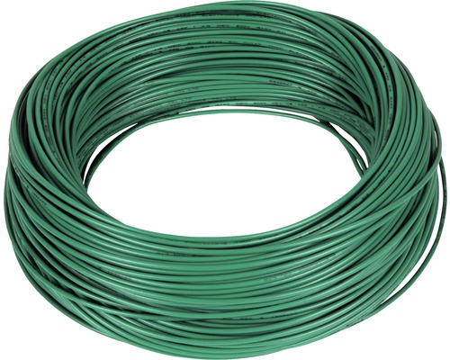 Anneau de fil électrique vert