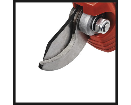 Nahaufnahme der Klinge einer Gartenschere.